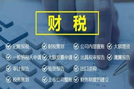 財(cái)稅服務(wù)
